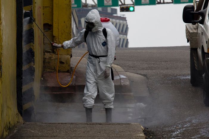 Disinfestazione blatte