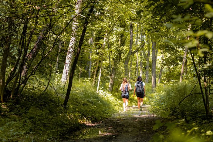 Cherasco, sul Sentiero del Bacio il terzo appuntamento dei “Walking Tours” Cherasco, sul Sentiero del Bacio il terzo appuntamento dei “Walking Tours”