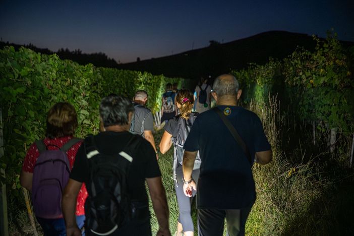 &quot;DegustaNovello&quot;: 90 camminatori alla scoperta del paese langarolo e dei suoi prodotti