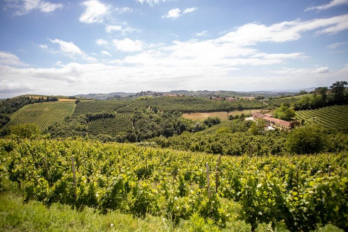 Colline dell'Alta Langa (foto Archivio Ente Turismo LMR)