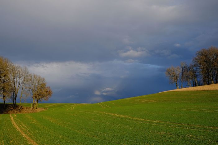 Foto di Karl Egger da Pixabay