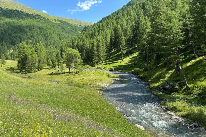 Settimana green e "Green wall": il Des Ambrois "fa la scelta giusta" con docenti e studenti, dialogando con il territorio valsusino