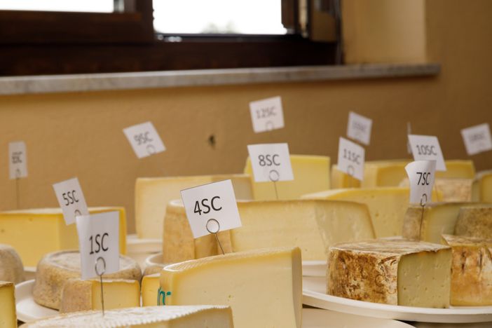 (Foto AgenForm-Consorzio)