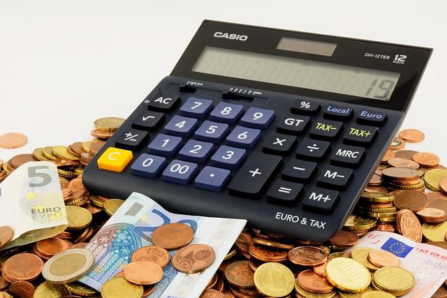Come è distribuito il carico fiscale in Italia: chi paga più tasse