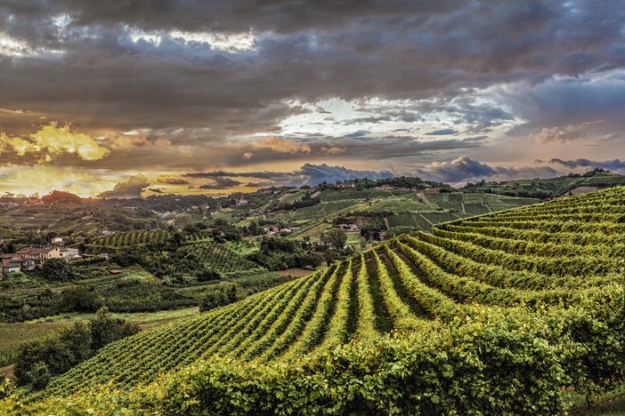 Archivio Paesaggi Vitivinicoli del Piemonte Langhe, Roero, Monferrato Unescp (Credito Carlo Avataneo)