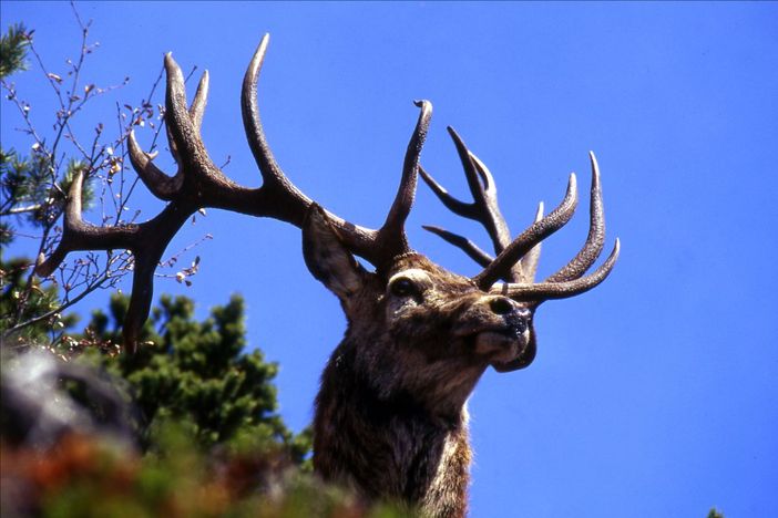 Fine settembre in valle Stura con cultura, natura e tradizioni