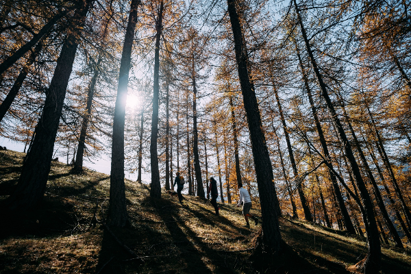 Il Consorzio Turistico Valle Maira insieme ad altri 7 uniti per lo sviluppo del turismo sostenibile sulle Alpi piemontesi Il Consorzio Turistico Valle Maira insieme ad altri 7 uniti per lo sviluppo del turismo sostenibile sulle Alpi piemontesi