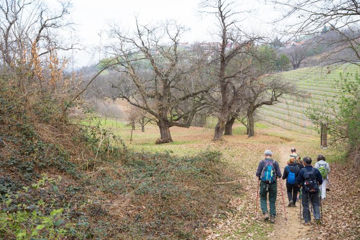 A Montà un’Immacolata fra le Rocche del Roero
