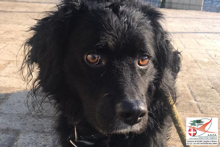 L’amore guarisce ogni male, ed è la cura che serve a Josh per superare l’abbandono e la solitudine L’amore guarisce ogni male, ed è la cura che serve a Josh per superare l’abbandono e la solitudine