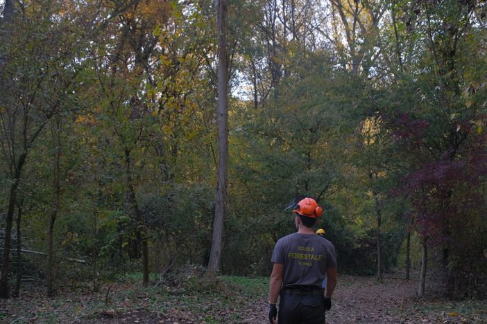 "Rigeneriamo la Bellezza": a Narzole riaprono i sentieri dell'eremita e le antiche strade romane