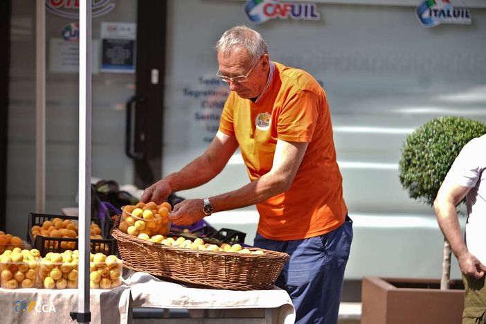 Sabato 11 e domenica 12 luglio la Fera d'la Tonda: Costigliole Saluzzo celebra l'Albicocca con due giorni di festa Sabato 11 e domenica 12 luglio la Fera d'la Tonda: Costigliole Saluzzo celebra l'Albicocca con due giorni di festa