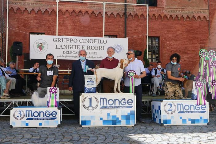 Immagine di archivio