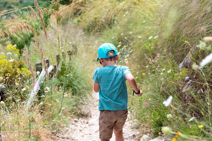 Foto generica - Pixabay