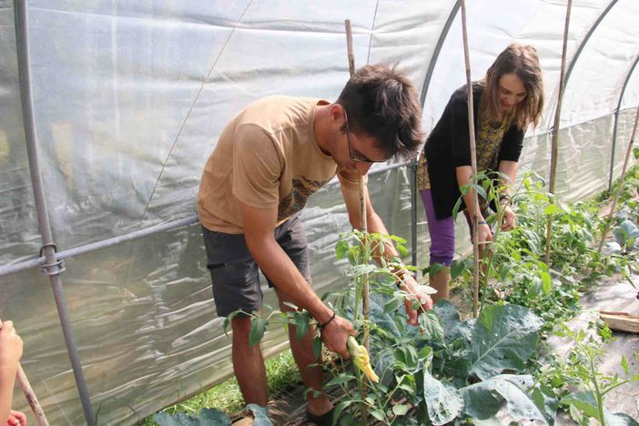 In Granda le imprese dei giovani sono 5.900 (9%). Negli ultimi dieci anni si sono ridotte di mille unità In Granda le imprese dei giovani sono 5.900 (9%). Negli ultimi dieci anni si sono ridotte di mille unità