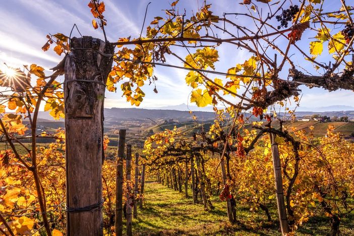 Il 22 giugno 2024 Langhe Roero e Monferrato sono state riconosciute Patrimonio Unesco Il 22 giugno 2024 Langhe Roero e Monferrato sono state riconosciute Patrimonio Unesco