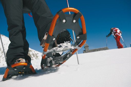 Immagine di repertorio