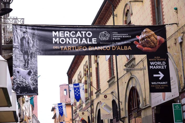La tutela della denominazione Bianco d'Alba, fondamentale per il territorio delle colline Unesco La tutela della denominazione Bianco d'Alba, fondamentale per il territorio delle colline Unesco