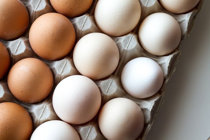 Uova al Fipronil, prosegue il processo nei confronti di un allevatore di Sommariva Perno