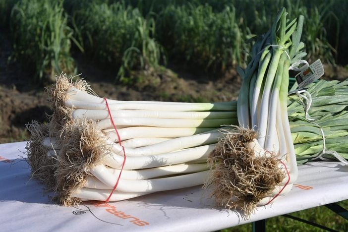 A Cervere si chiude la 46ª Fiera del Porro