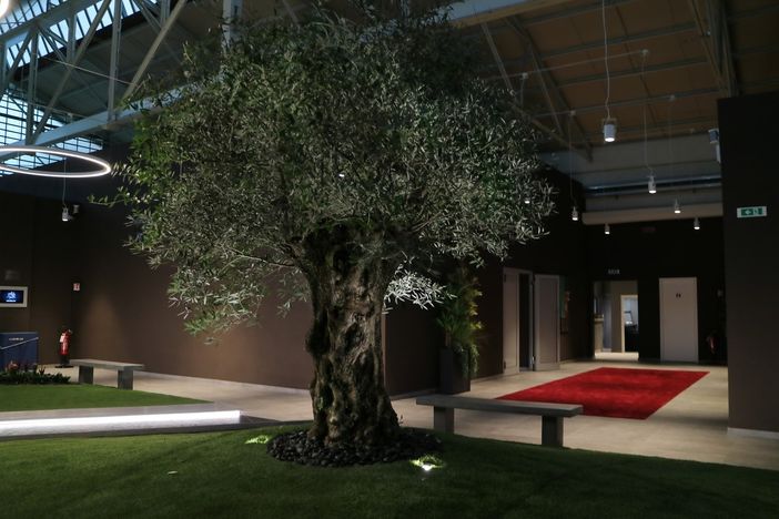 Giubileo approda sulle reti Mediaset