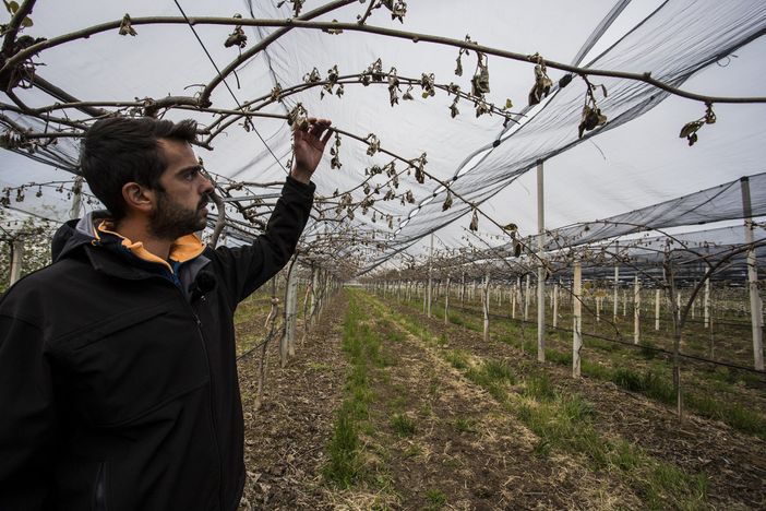 Aprile 2021: in Piemonte, uno dei più freddi degli ultimi 64 anni. Temperature in picchiata il 7 e 8 aprile