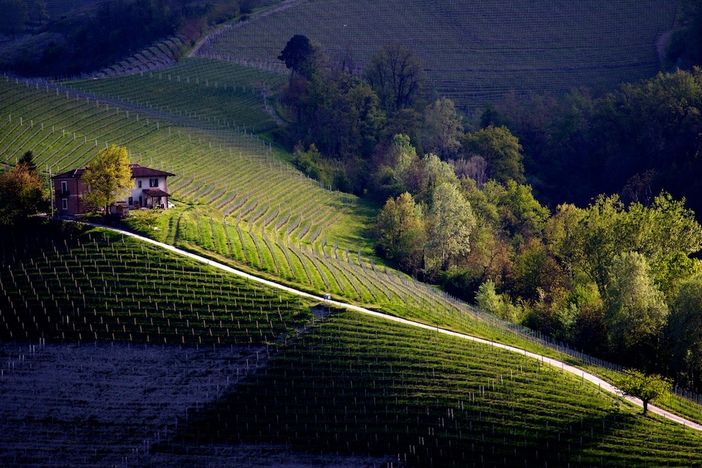 Foto generica Foto generica