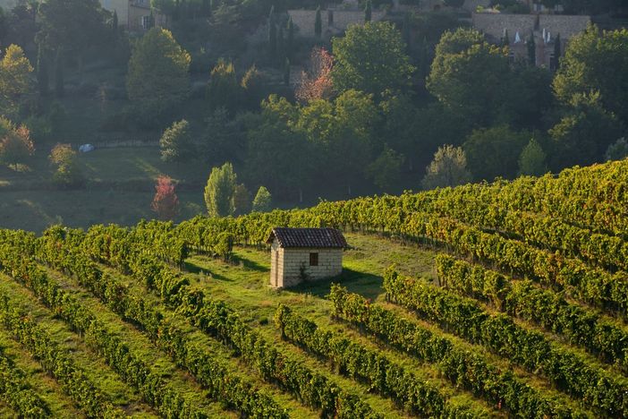 La cantina Produttori di Govone apre le porte al pubblico
