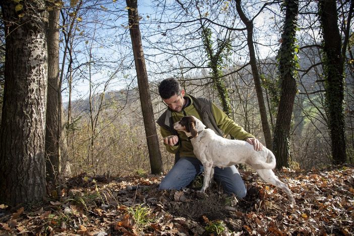 Foto di Tino Gerbaldo Foto di Tino Gerbaldo