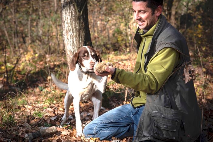 La cerca del tartufo (foto di Tino Gerbaldo)