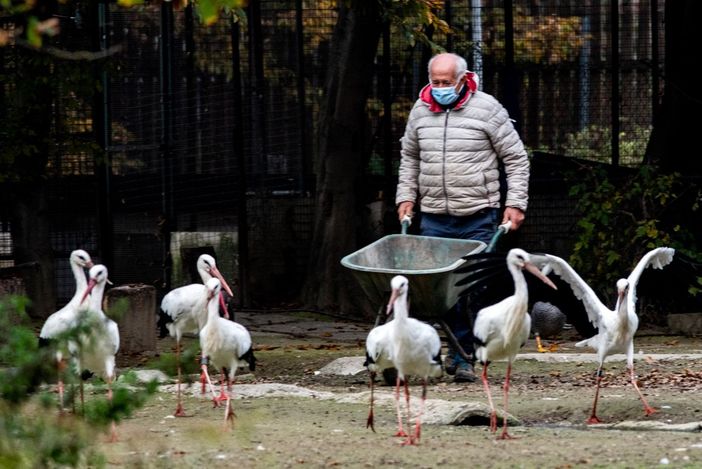 Foto di Filippo Marmo Foto di Filippo Marmo