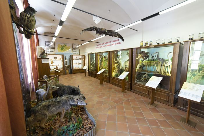 Museo Naturalistico del Roero di Vezza d’Alba (foto Stefano Cantù) Museo Naturalistico del Roero di Vezza d’Alba (foto Stefano Cantù)