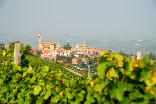 A Castiglione Tinella si festeggia San Luigi fra musica dal vivo, aperitivi, attività per le leve A Castiglione Tinella si festeggia San Luigi fra musica dal vivo, aperitivi, attività per le leve