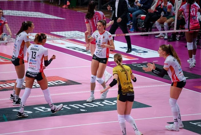 (foto ninotto) (foto ninotto)