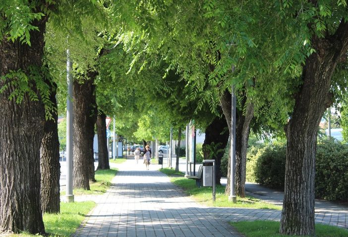 Alba, martedì 8 ottobre divieto di transito in Corso Bra