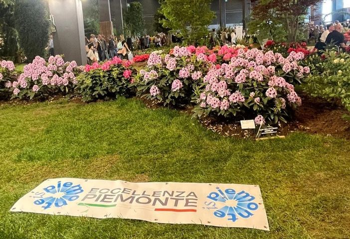 Asproflor a "Clorofilla 2025": natura, gioco e creatività in un week end ad Alba