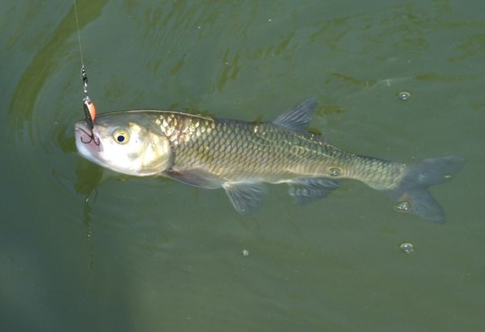 Immagine di repertorio