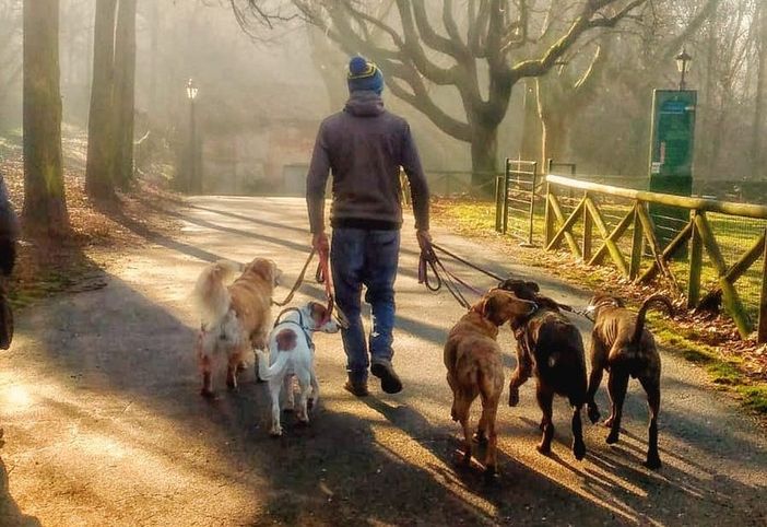 Immagine d'archivio Immagine d'archivio