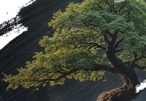 A Monforte d'Alba una mostra tra la millenaria arte del bonsai e la creatività dell’arte contemporanea