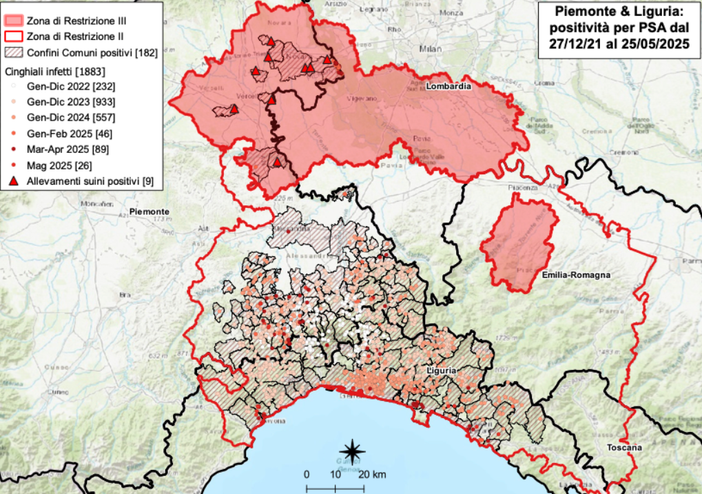 Peste suina: otto nuovi casi tra Piemonte e Liguria, positività totali salgono a 1.883