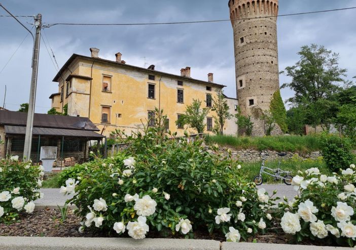 “Ti Regalerò Una Rosa”: Il Comune di Priero avvia un’iniziativa di adozione simbolica per diffondere bellezza e cura nel paese “Ti Regalerò Una Rosa”: Il Comune di Priero avvia un’iniziativa di adozione simbolica per diffondere bellezza e cura nel paese