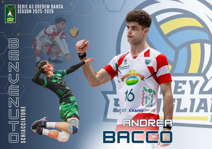 VOLLEY A3M / Savigliano, sotto l'albero c'è lo schiacciatore Andrea Bacco