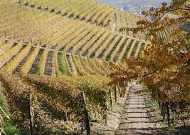 Fi, fija, fjà: enigmi del langhetto all’Università dell’Alta Langa