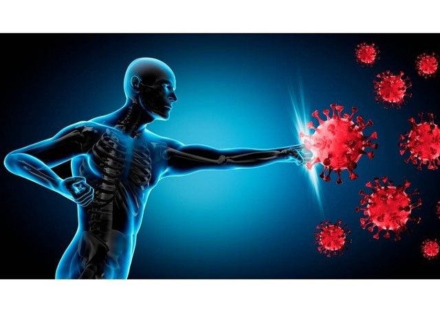 Scopri come rafforzare il sistema immunitario Scopri come rafforzare il sistema immunitario