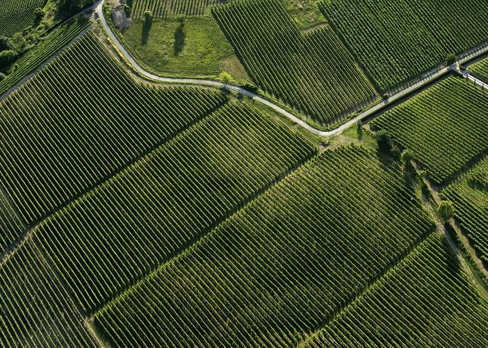 Sviluppo sostenibile: Alba e il sito Unesco lavorano insieme sugli obiettivi dell'Agenda 2030