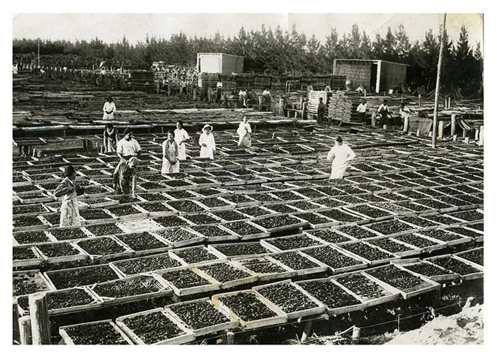 Centinaia di discendenti di emigrati in Argentina alla ricerca degli avi cuneesi