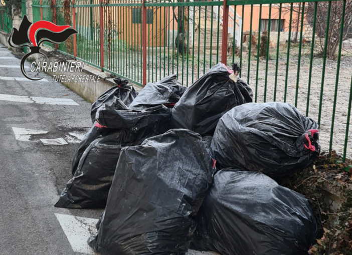 Abbandono illecito di rifiuti a Moretta, ditta edile multata per 13mila euro Abbandono illecito di rifiuti a Moretta, ditta edile multata per 13mila euro