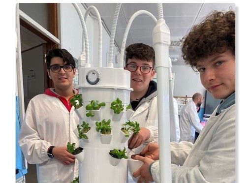 Gli studenti del Cillario Ferrero impegnati nella coltura idroponica