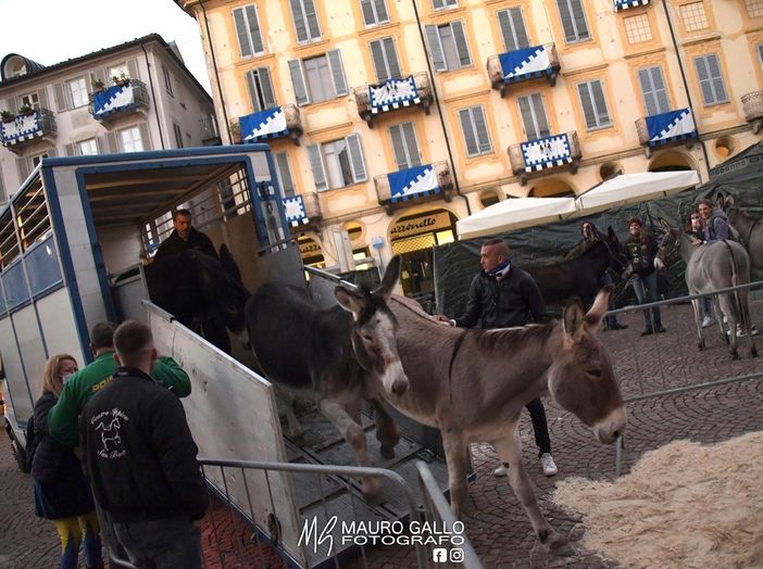 Alba, domenica c'è il Palio. Ecco le modifiche alla viabilità