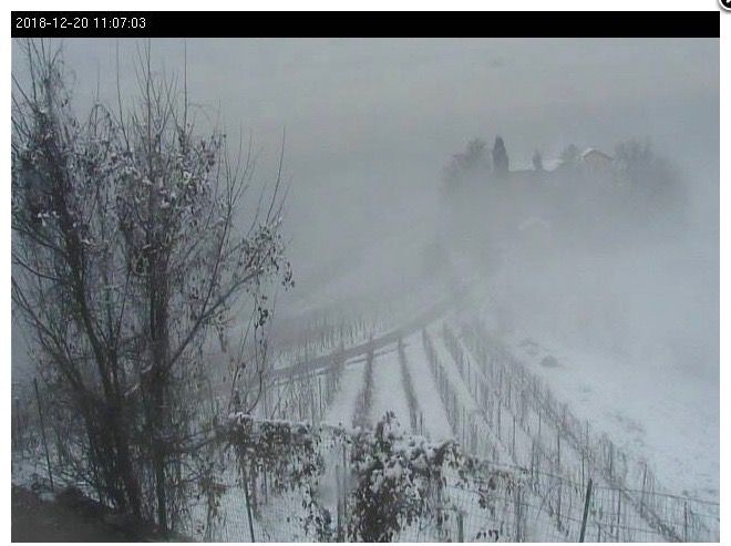 Qualche "bianca istantanea" dalle webcam della provincia di Cuneo