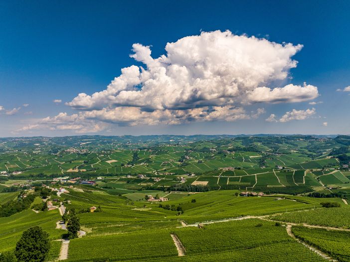 Le Langhe del Barolo Le Langhe del Barolo